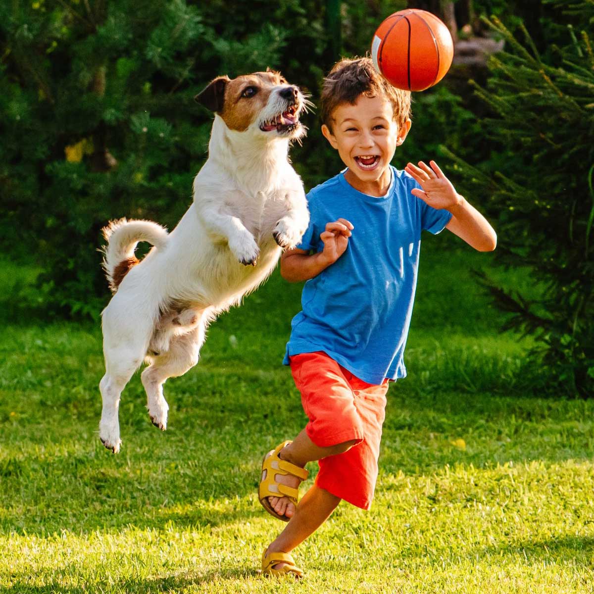 top daycares near me